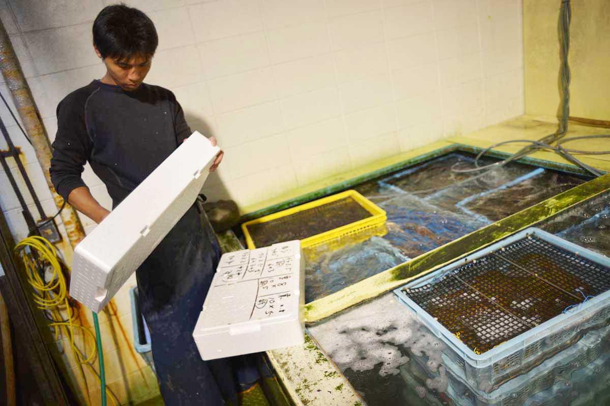 株式会社北栄水産