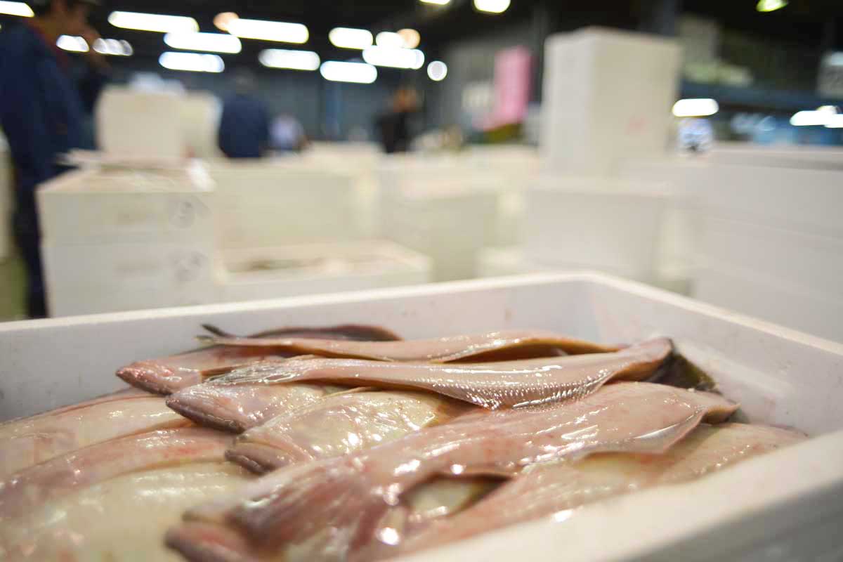 株式会社北栄水産