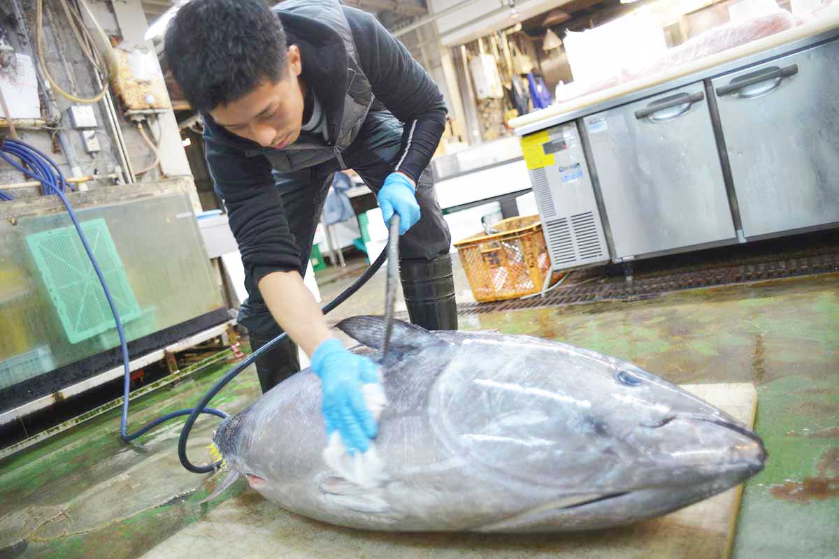 株式会社北栄水産