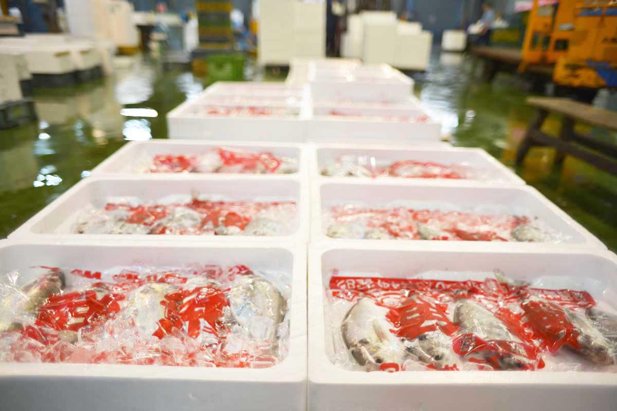 株式会社北栄水産