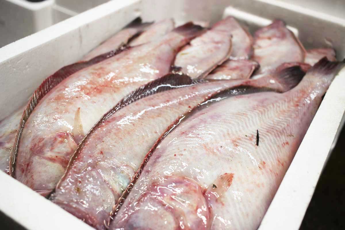 株式会社北栄水産